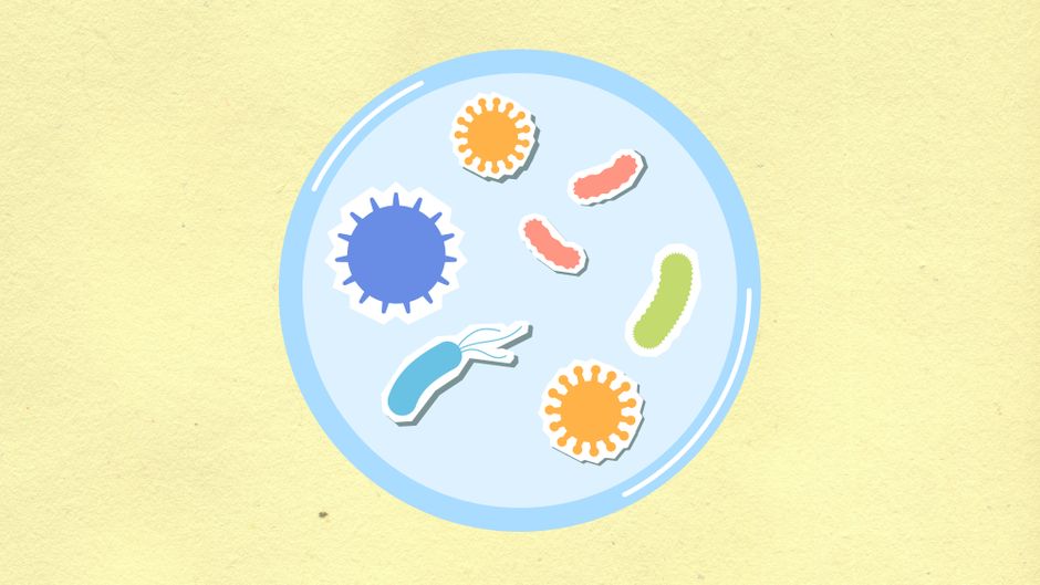 Longevidade — From above of decorative cardboard applique of round shaped cell with various microbes and viruses on yellow