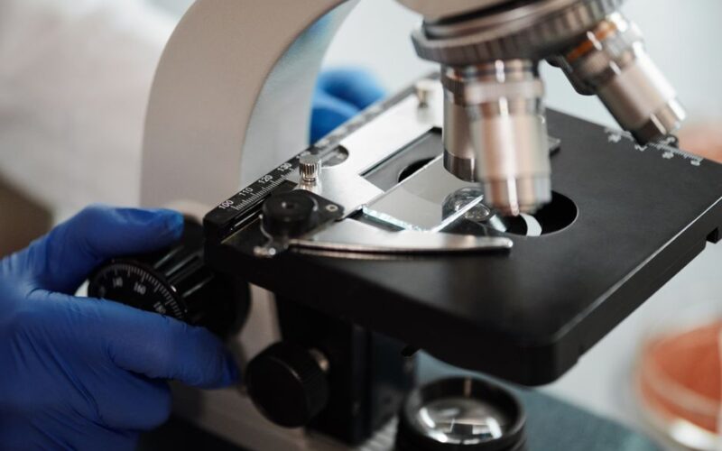 Longevidade: Novas fronteiras da biotecnologia